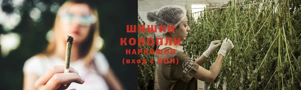 ГАЛЛЮЦИНОГЕННЫЕ ГРИБЫ Киреевск